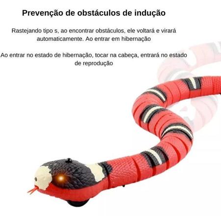 cobra elétrico, brinquedos cobra realistas, brinquedos cobra falsos  interativos brincadeiras cobras caixas presente para cães estimação jogo :  : Pet Shop