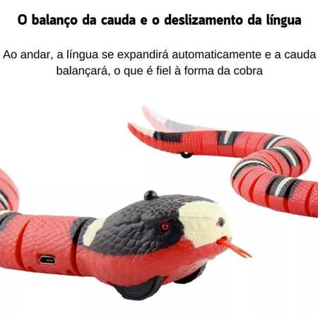 cobra elétrico, brinquedos cobra realistas, brinquedos cobra falsos  interativos brincadeiras cobras caixas presente para cães estimação jogo :  : Pet Shop