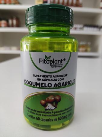 Produtor abandona tudo para plantar cogumelo do sol 