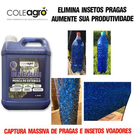 Imagem de Cola Entomológica Azul 5 litros Blue GLue Coleagro