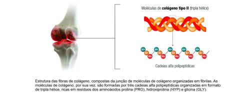 carti colageno em Promoção no Magazine Luiza