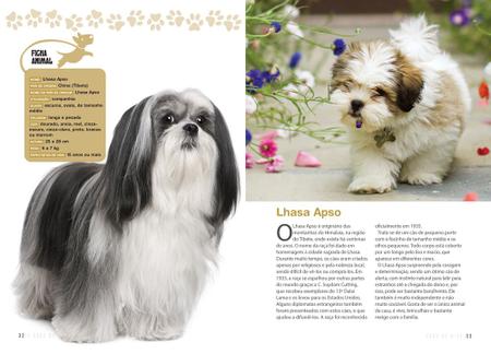 Magazine para cães: Raças de cães: Tudo sobre o Bearded collie