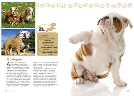 Magazine para cães: Raças de cães: Tudo sobre o Bearded collie