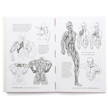 Anatomía artística 7, de Michel Lauricella