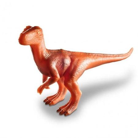 Dinossauro Velociraptor na Caixa