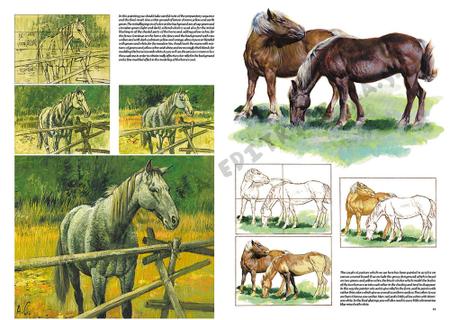 Cavalos - Curso Básico de Desenho - - Outros Livros - Magazine Luiza