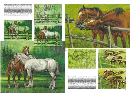 Cavalos - Curso Básico de Desenho - - Outros Livros - Magazine Luiza