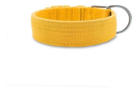 Imagem de Coleira Cachorro Grande Pit Bull + Guia 80cm (amarelo) Fit