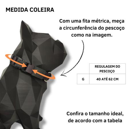 Imagem de Coleira de pescoço para cachorro - Modelo Melancia