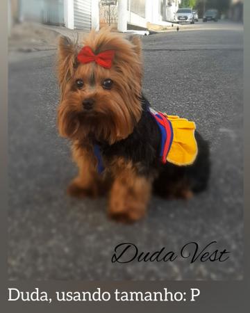 Coleira Peitoral com Guia de Passeio para Cachorro e Gato Branca de Neve - Duda Vest Imagem de Coleira Peitoral com Guia de Passeio para Cachorro e Gato Branca de Neve