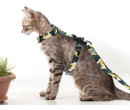 Coleira Peitoral Para Gatos Passeio Com Guia Luxo Conforto