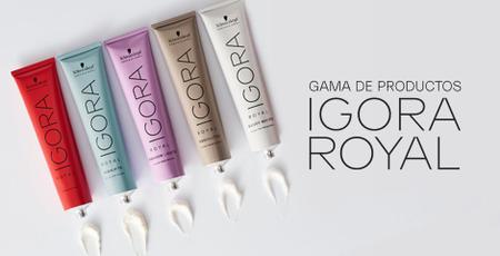 Coloração Igora Royal 8-77 Louro Claro Cobre Extra 60g - Schwarzkopf -  Tinta de Cabelo - Magazine Luiza