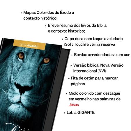 Imagem de Combo 5 Bíblias Sagradas Letra Gigante Versão NVI Estudo Diário Original Pão Diário