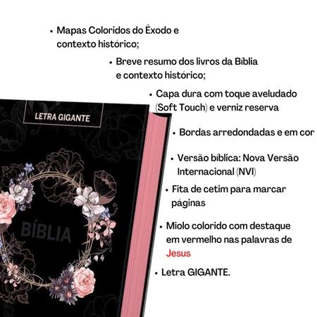 Imagem de Combo 5 Bíblias Sagradas Letra Gigante Versão NVI Estudo Diário Original Pão Diário