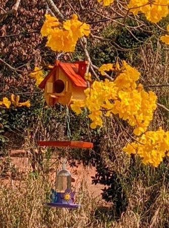 Imagem de Comedouro Bebedouro Beija Flor E Casinha De Passarinho Eco