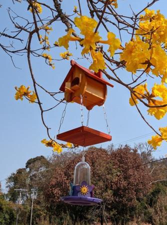 Comedouro Bebedouro Beija Flor E Casinha De Passarinho Eco - Start Artesanatos Imagem de Comedouro Bebedouro Beija Flor E Casinha De Passarinho Eco
