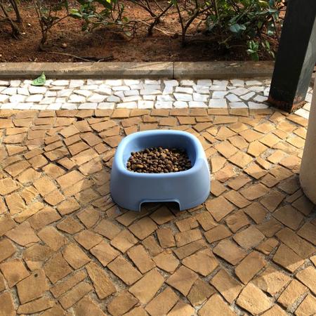 Imagem de Comedouro pequeno bebedouro água pote porta petisco ração para pet cães cachorro vasilha gato azul