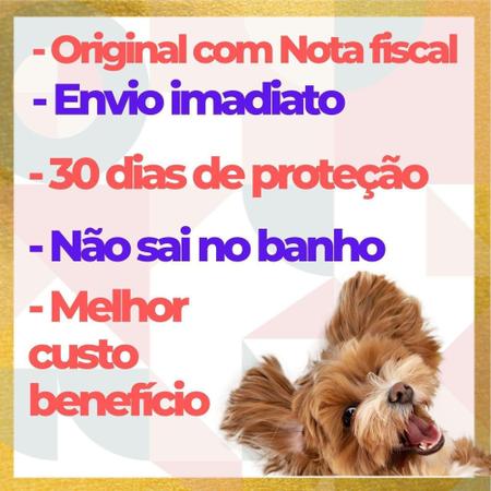 Agropet é o Bicho – Tudo pro seu pet em um único lugar!