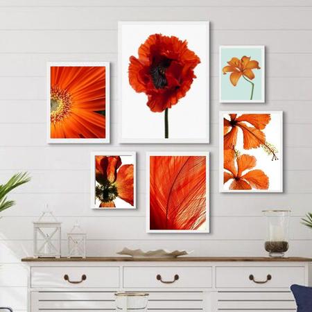 Imagem de Composição 6 Quadros Decorativos Alaranjados- Flores - com vidro