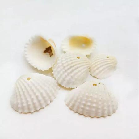 Imagem de Concha do Mar com Furo 25mm x 30mm Cru em Plástico com 50 peças