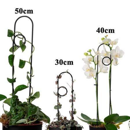 Imagem de Conjunto 3 Tutor Para Plantas Estaca Haste Vasos Folhagem