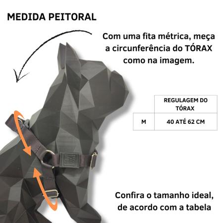 Imagem de Conjunto coleira, peitoral guia e cinto para cachorro - Modelo Tetris