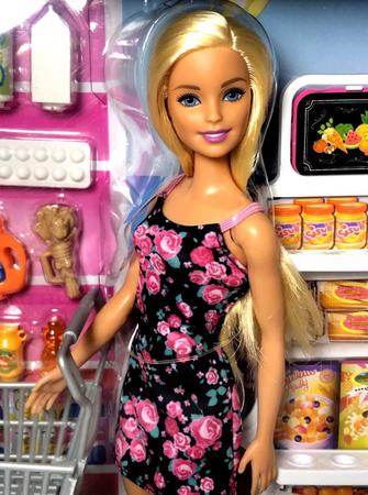 Carrinho de Boneca Barbie com Móveis de Luxo e Acessórios - Carrinho de  Boneca - Magazine Luiza