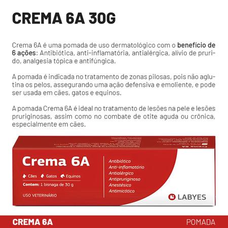 Crema 6A Labyes 30g Pomada Dermatológica para Otites Imagem de Crema 6A Labyes 30g Pomada Dermatológica para Otites