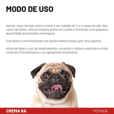 Crema 6A Labyes 30g Pomada Dermatológica para Otites Imagem de Crema 6A Labyes 30g Pomada Dermatológica para Otites