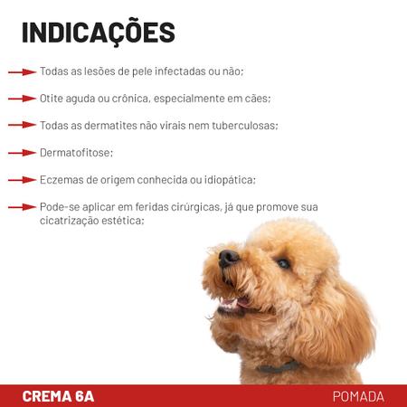 Crema 6A Labyes 30g Pomada Dermatológica para Otites Imagem de Crema 6A Labyes 30g Pomada Dermatológica para Otites