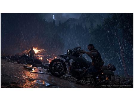 Days Gone - PS4 Mídia Física - SIE Bend Studio - Jogos de Ação - Magazine  Luiza