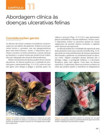 Imagem de Dermatologia felina uma abordagem clínica - Editora MedVet