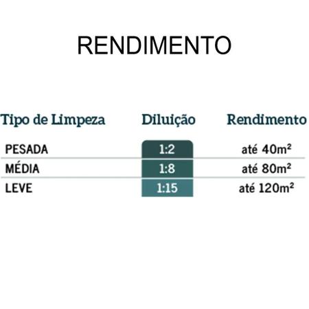 Imagem de Desincrustante LP para Pisos - 1L