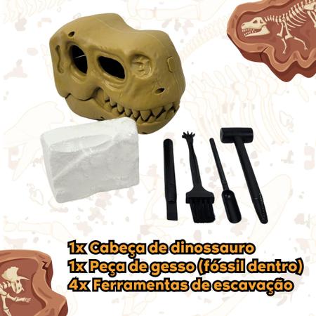 SAFIGLE Brinquedos Educativos Para Crianças Fósseis De Dinossauros 1Pc  Conjunto De Jogos Infantis Para Crianças Brinquedos Educativos Científicos  Para Escavação Modelos De Dinossauros