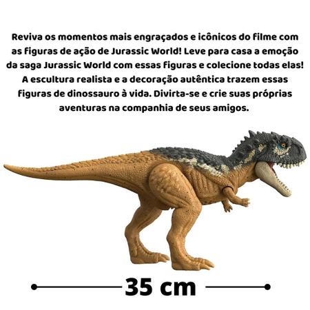 Dinossauros Ao Raio Dinossauros Ao Raio X