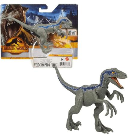 Dinossauro Velociraptor na Caixa