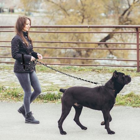 Imagem de Dog Leash Homimp Chain Reflective 1,08 kg para cães médios e grandes