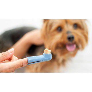 Imagem de Escovas de Dente de Dedo para Cães e Gatos - coloridas