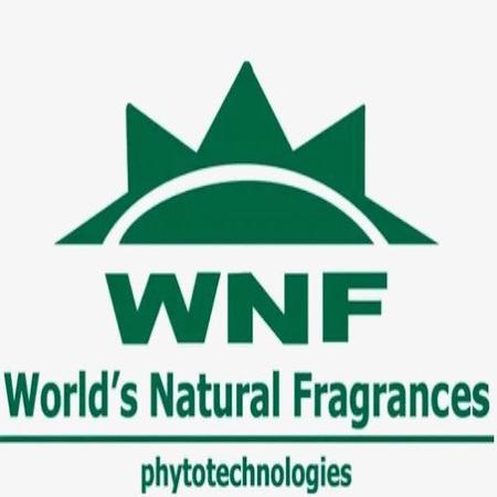 Imagem de Esfoliante Facial Hidratação E Detox Vegana - 100ml Wnf