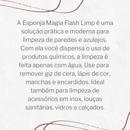 Imagem de Esponja Magia 3 Peças Limpa Com Água Flash Limp