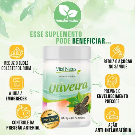 Extrato de Folha de Oliveira 500mg - 60 Capsulas - Vital Natus