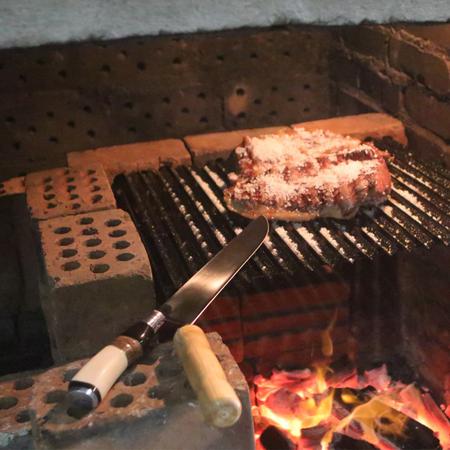 Imagem de Faca Gaúcha N 10 Aço Inox Cabo Curvo Chifre Madeira Osso