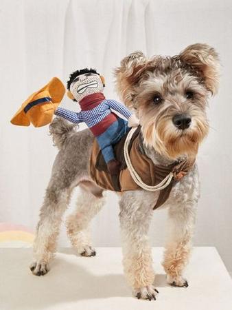 Imagem de Fantasia Roupa Cowboy Para Pet Caes Cachorro Gato