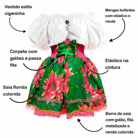 Busca conjunto junino fantasia caipira saia blusa chita luxo adult a venda  no Brasil. -  Brasil