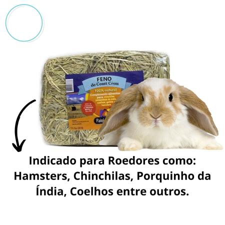 Imagem de Feno Para Roedores Hamster Coelho Porquinho Da India 1kg
