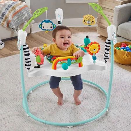 Imagem de Fisher Price Cadeirinha Pula Pula Floresta Fisher-Price Hjc37