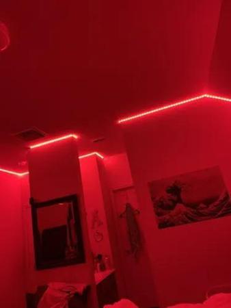 Imagem de Fita LED 12V Vermelha 4,8W 5 Metros - Ledbox