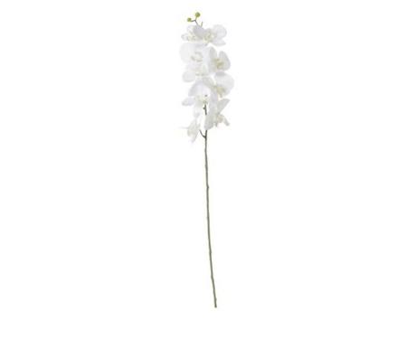 Imagem de Flor Artificial Orquídea 78cm Branco