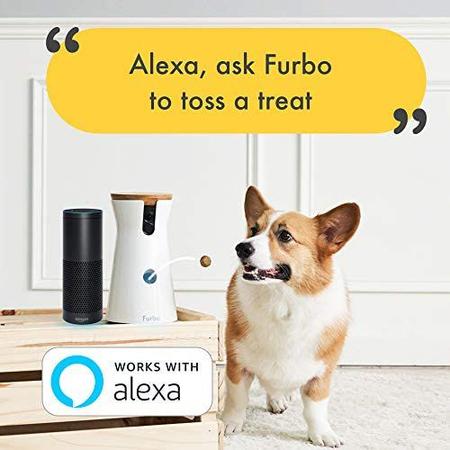 Imagem de Furbo Dog Câmera Alimentador Inteligente Interativo Alexa