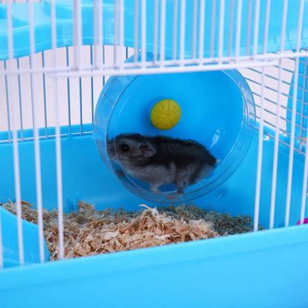 Imagem de Gaiola casinha para hamster toca completa azul